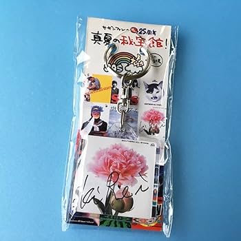サザンオールスターズ　真夏な秘宝館キーホルダー4個セット Amazon.co.jp: キーホルダー サザンオールスターズ 真夏の秘宝館